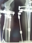 20130827_125801.jpg